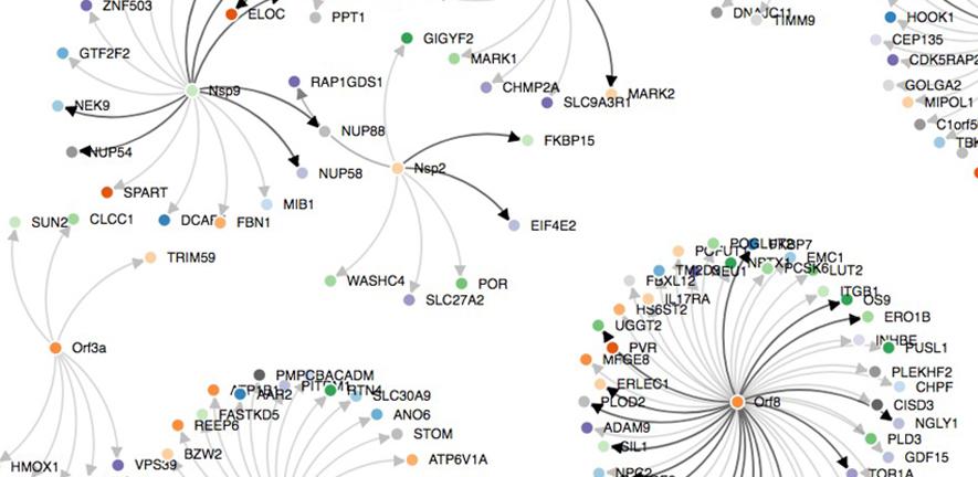 SARS-CoV-2-human protein-protein interactions.