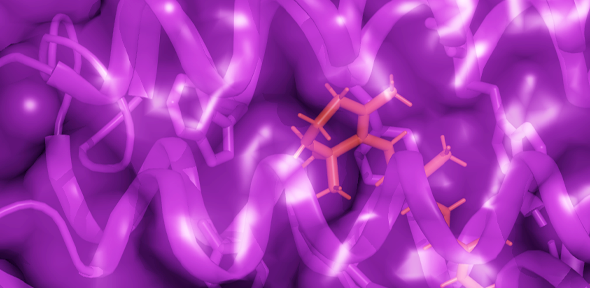 NMR